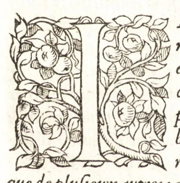 An illustration from Les observations de plvsievrs singvlaritez et choses memorables, trouuées en Grece, Asie, Iudée, Egypte, Arabie, & autres pays estranges, 1553, leaf 92