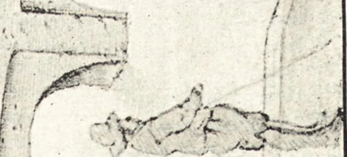 An illustration from Oud-Nederlandsche steden in haar ontstaan, groei en ontwikkeling, 1909, leaf 137