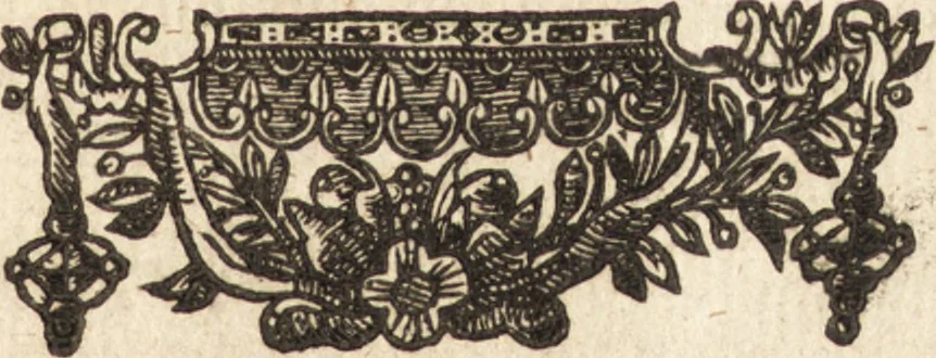 An illustration from The painting of the ancients, in three bookes : declaring by historicall observations and examples, the beginning, progresse, and consummation of that most noble art, and how those ancient artificers attained to their still so much admired excellencie, 1638, leaf 366