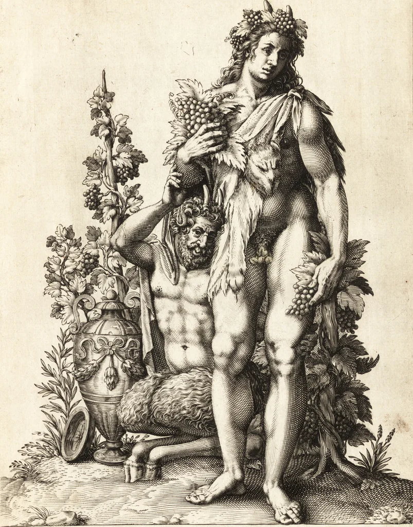An illustration from Parnassvs cum imaginibus mvsarvm deorumq[ue] praesidum Hippocrenes : omnia depicta sunt, & distichis latinis illustrata, 1601, leaf 58
