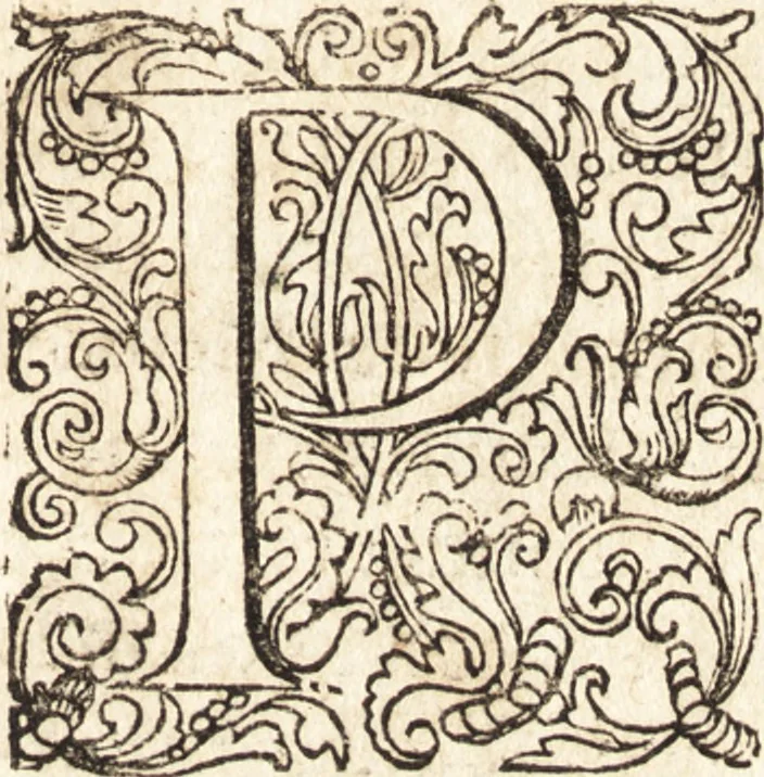 An illustration from Parnassvs cum imaginibus mvsarvm deorumq[ue] praesidum Hippocrenes : omnia depicta sunt, & distichis latinis illustrata, 1601, leaf 8