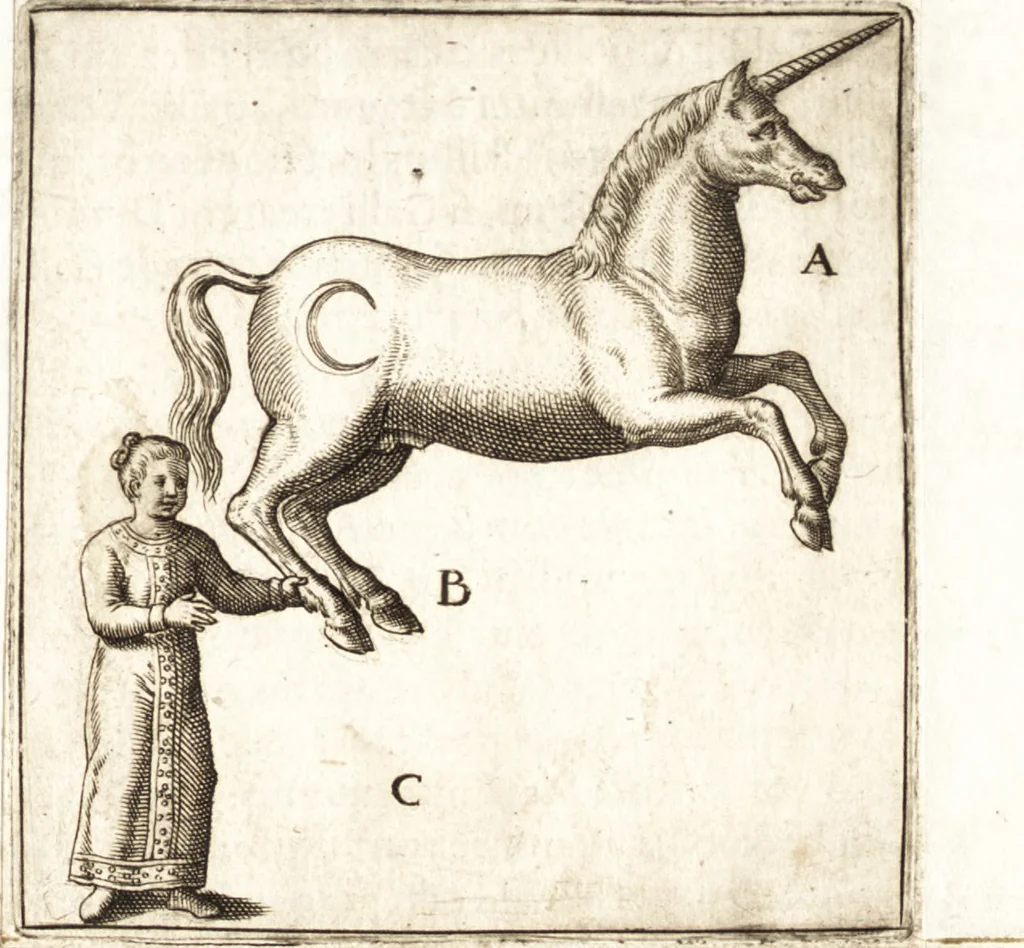 An illustration from Parnassvs cum imaginibus mvsarvm deorumq[ue] praesidum Hippocrenes : omnia depicta sunt, & distichis latinis illustrata, 1601, leaf 80