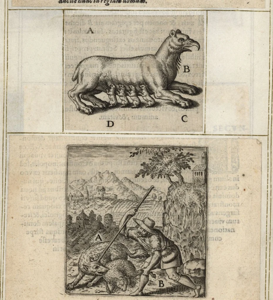 An illustration from Parnassvs cum imaginibus mvsarvm deorumq[ue] praesidum Hippocrenes : omnia depicta sunt, & distichis latinis illustrata, 1601, leaf 81