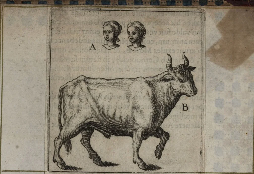 An illustration from Parnassvs cum imaginibus mvsarvm deorumq[ue] praesidum Hippocrenes : omnia depicta sunt, & distichis latinis illustrata, 1601, leaf 84