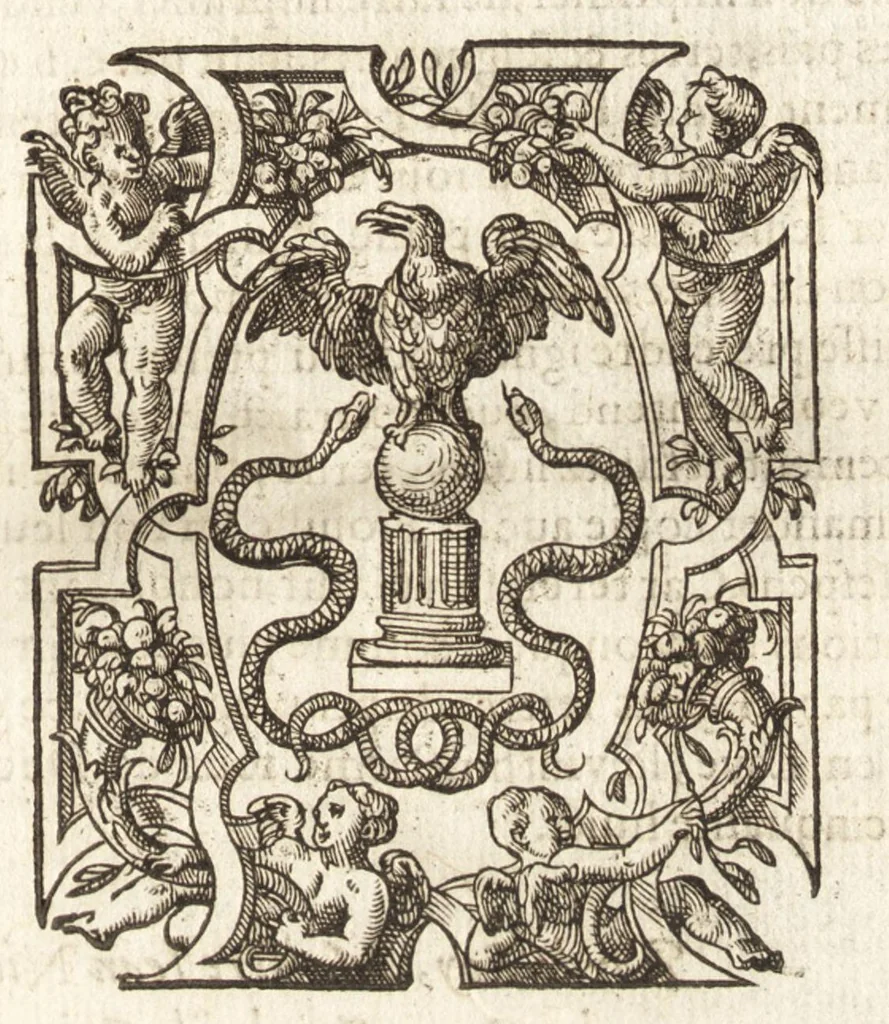 An illustration from Petri Gyllii De topographia Constantinopoleos, et de illivs antiqvitatibvs libri qvatvor, 1562, leaf 262