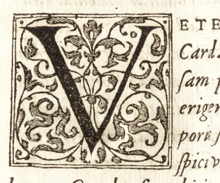 An illustration from Petri Gyllii De topographia Constantinopoleos, et de illivs antiqvitatibvs libri qvatvor, 1562, leaf 520