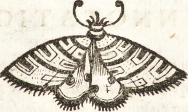 An illustration from P. Gasparis Schotti, Regiscuriani e Societate Jesu ... Technica curiosa, sive, Mirabilia artis, libris XII comprehensa .., 1664, leaf 213