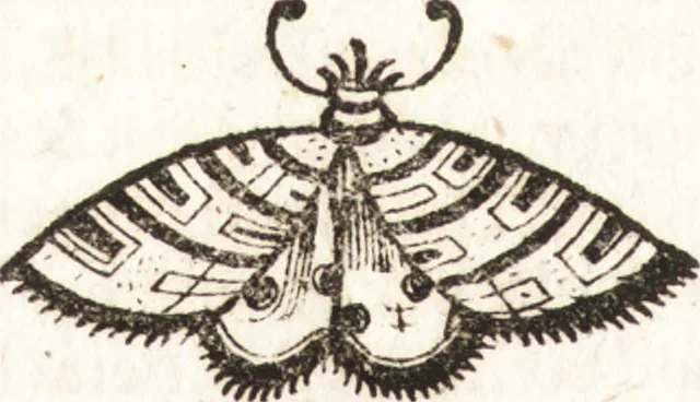 An illustration from P. Gasparis Schotti, Regiscuriani e Societate Jesu ... Technica curiosa, sive, Mirabilia artis, libris XII comprehensa .., 1664, leaf 224