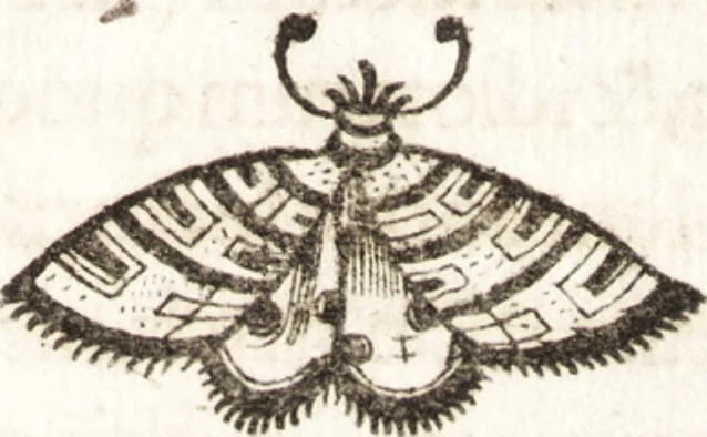 An illustration from P. Gasparis Schotti, Regiscuriani e Societate Jesu ... Technica curiosa, sive, Mirabilia artis, libris XII comprehensa .., 1664, leaf 281
