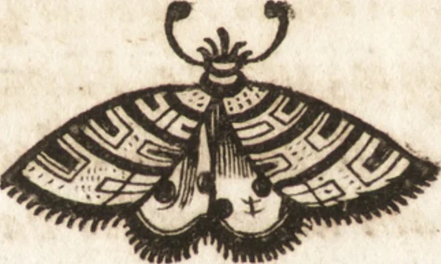 An illustration from P. Gasparis Schotti, Regiscuriani e Societate Jesu ... Technica curiosa, sive, Mirabilia artis, libris XII comprehensa .., 1664, leaf 542