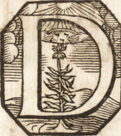 An illustration from P. Gasparis Schotti, Regiscuriani e Societate Jesu ... Technica curiosa, sive, Mirabilia artis, libris XII comprehensa .., 1664, leaf 544