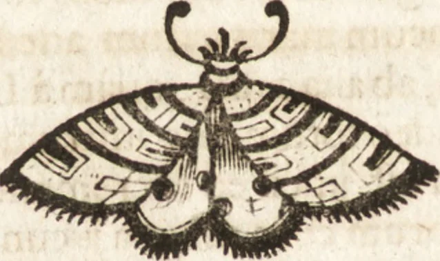 An illustration from P. Gasparis Schotti, Regiscuriani e Societate Jesu ... Technica curiosa, sive, Mirabilia artis, libris XII comprehensa .., 1664, leaf 566