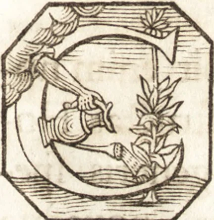 An illustration from P. Gasparis Schotti, Regiscuriani e Societate Jesu ... Technica curiosa, sive, Mirabilia artis, libris XII comprehensa .., 1664, leaf 739