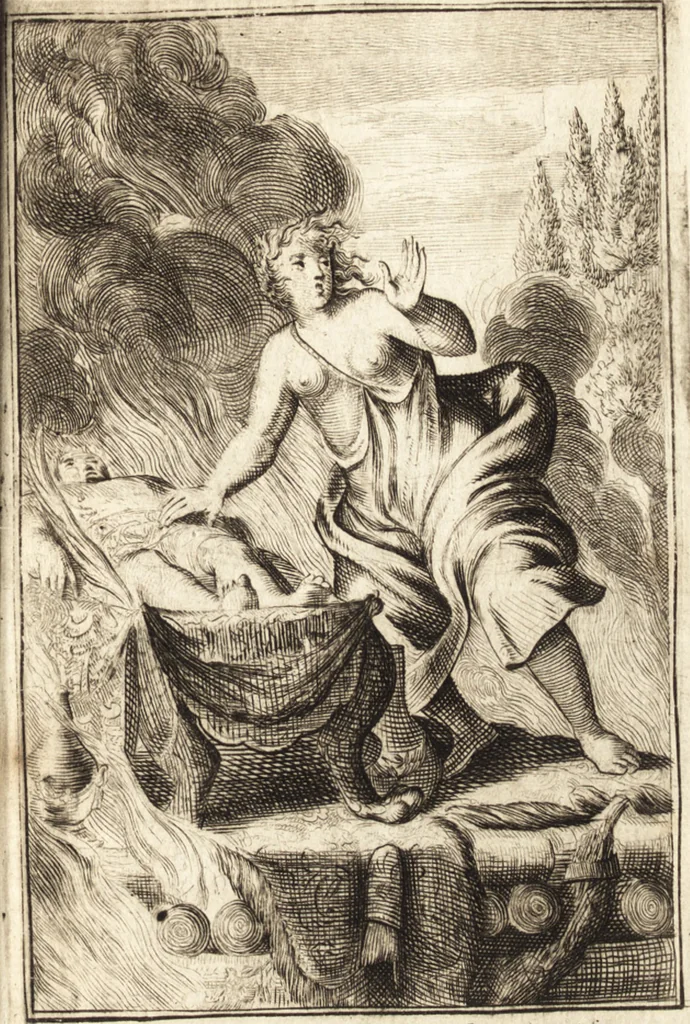 An illustration from Pictura loquens; sive Heroicarum tabularum Hadriani Schoonebeeck enarratio et explicatio, 1695, leaf 100