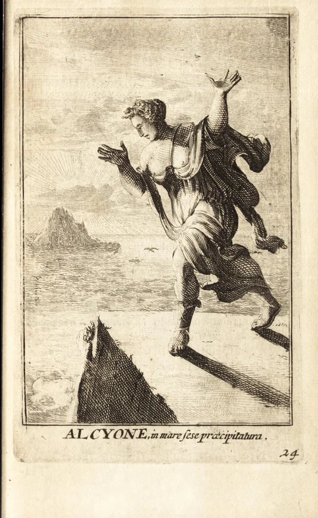 An illustration from Pictura loquens : sive, Heroicarum tabularum Hadriani Schoonebeeck enarratio et explicatio, 1695, leaf 116