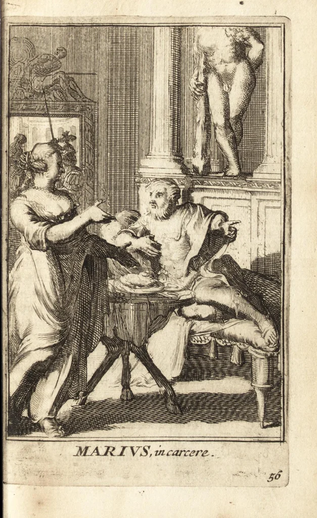 An illustration from Pictura loquens : sive, Heroicarum tabularum Hadriani Schoonebeeck enarratio et explicatio, 1695, leaf 244