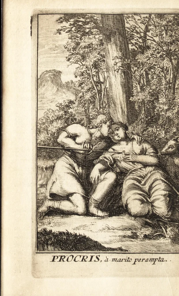 An illustration from Pictura loquens : sive, Heroicarum tabularum Hadriani Schoonebeeck enarratio et explicatio, 1695, leaf 64
