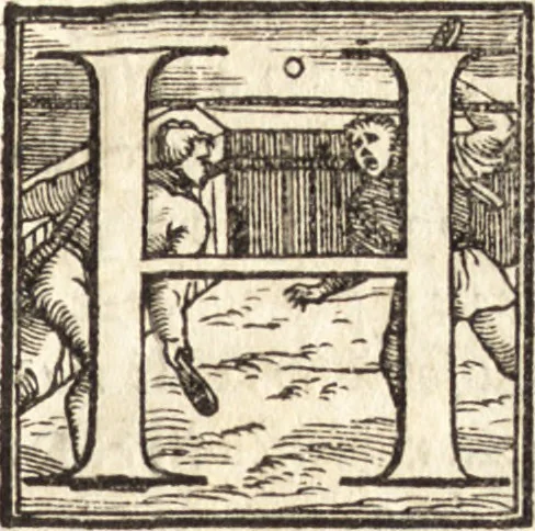 An illustration from La pittura, 1547, leaf 10