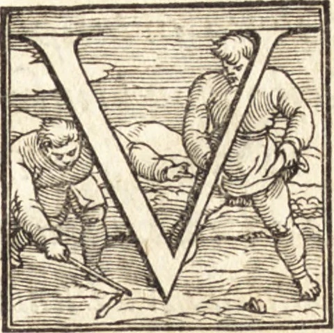 An illustration from La pittura, 1547, leaf 6