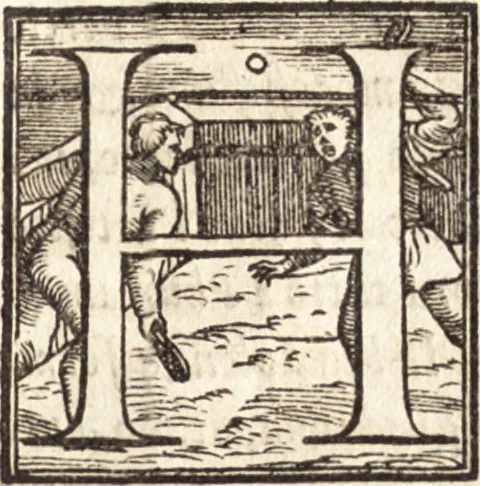 An illustration from La pittura, 1547, leaf 76