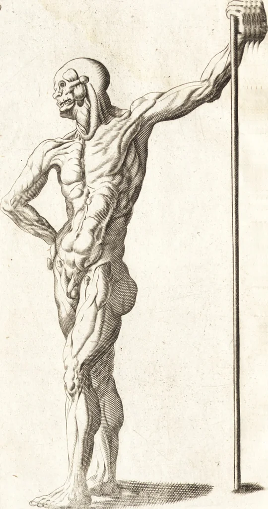An illustration from Polygraphice, or, The arts of drawing, engraving, etching, limning, painting, washing, varnishing, gilding, colouring, dying, beautifying and perfuming ... : to which is added a discourse of perspective and chiromancy, 1681, leaf 31