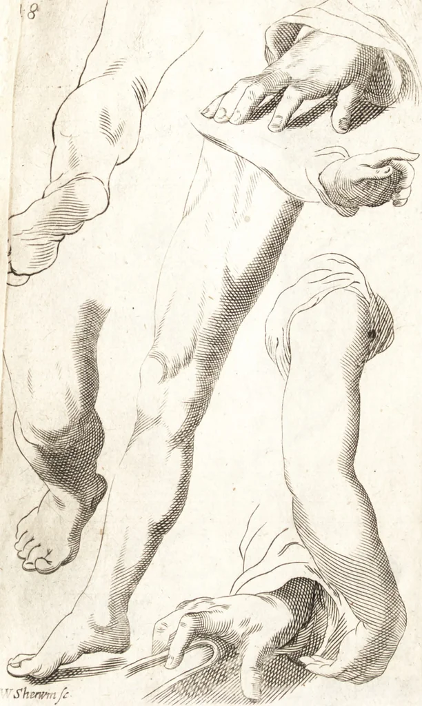 An illustration from Polygraphice, or, The arts of drawing, engraving, etching, limning, painting, washing, varnishing, gilding, colouring, dying, beautifying and perfuming ... : to which is added a discourse of perspective and chiromancy, 1681, leaf 50