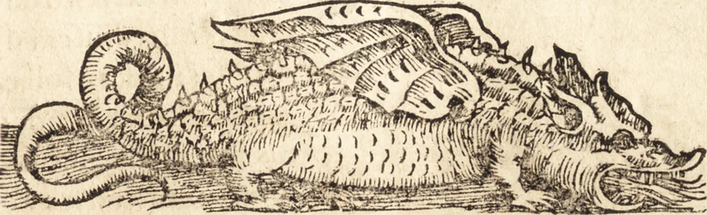 An illustration from Prodigiorvm ac ostentorvm chronicon : quae praeter naturae ordinem, motum, et operationem, et in svperioribus & his inferioribus mundi regionibus, ab exordio mundi usque ad haec nostra tempora, acciderunt ..., 1557, leaf 102