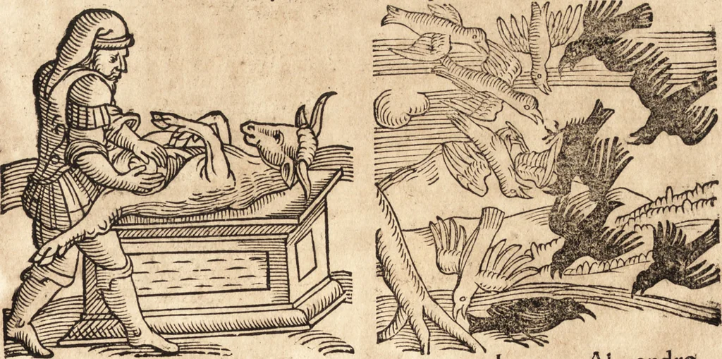 An illustration from Prodigiorvm ac ostentorvm chronicon : quae praeter naturae ordinem, motum, et operationem, et in svperioribus & his inferioribus mundi regionibus, ab exordio mundi usque ad haec nostra tempora, acciderunt ..., 1557, leaf 104