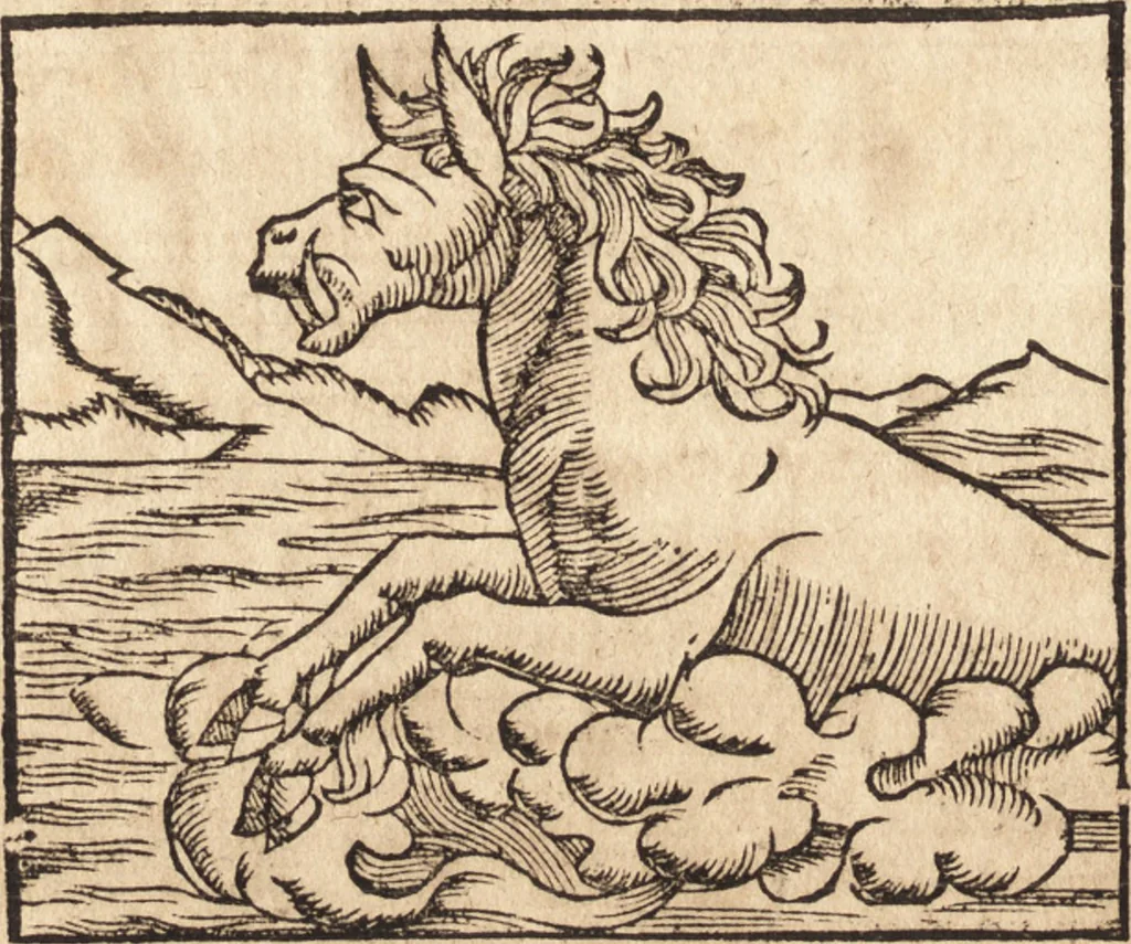 An illustration from Prodigiorvm ac ostentorvm chronicon : quae praeter naturae ordinem, motum, et operationem, et in svperioribus & his inferioribus mundi regionibus, ab exordio mundi usque ad haec nostra tempora, acciderunt ..., 1557, leaf 107