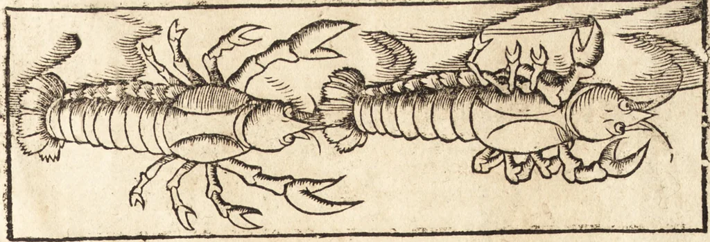 An illustration from Prodigiorvm ac ostentorvm chronicon : quae praeter naturae ordinem, motum, et operationem, et in svperioribus & his inferioribus mundi regionibus, ab exordio mundi usque ad haec nostra tempora, acciderunt ..., 1557, leaf 108