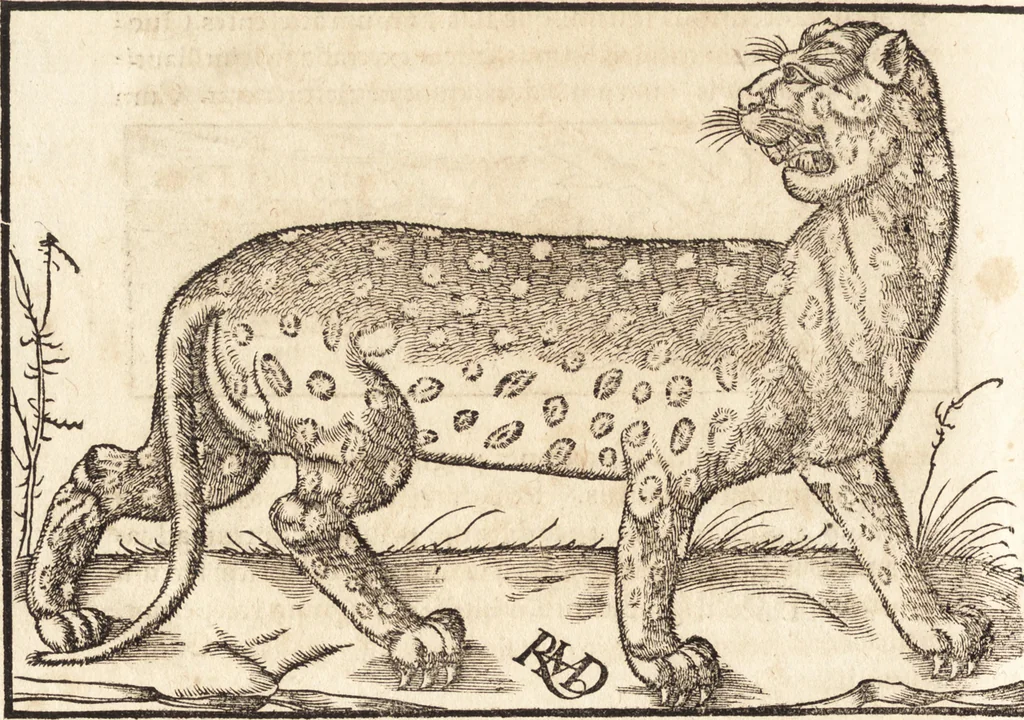 An illustration from Prodigiorvm ac ostentorvm chronicon : quae praeter naturae ordinem, motum, et operationem, et in svperioribus & his inferioribus mundi regionibus, ab exordio mundi usque ad haec nostra tempora, acciderunt ..., 1557, leaf 109