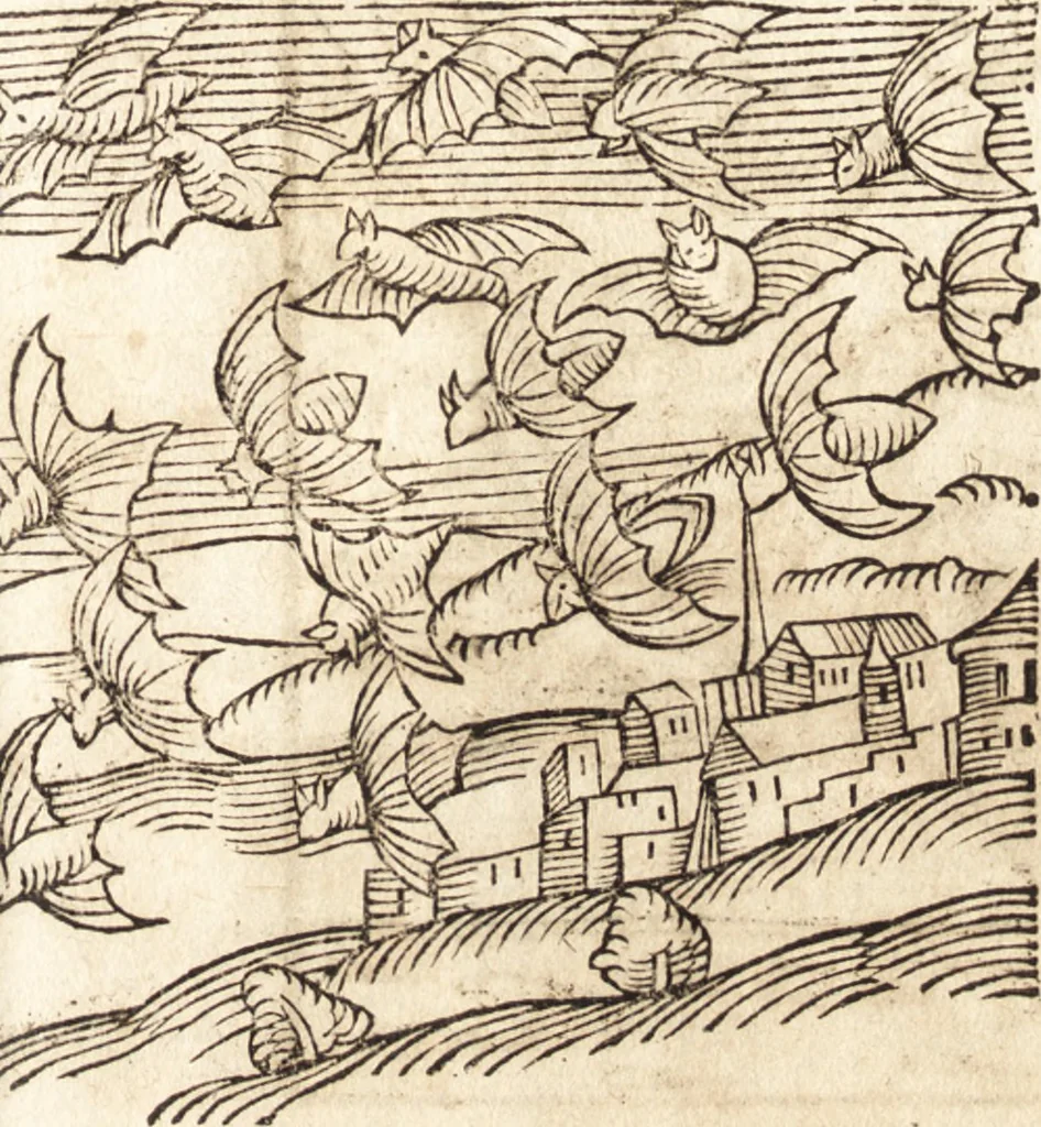 An illustration from Prodigiorvm ac ostentorvm chronicon : quae praeter naturae ordinem, motum, et operationem, et in svperioribus & his inferioribus mundi regionibus, ab exordio mundi usque ad haec nostra tempora, acciderunt ..., 1557, leaf 110