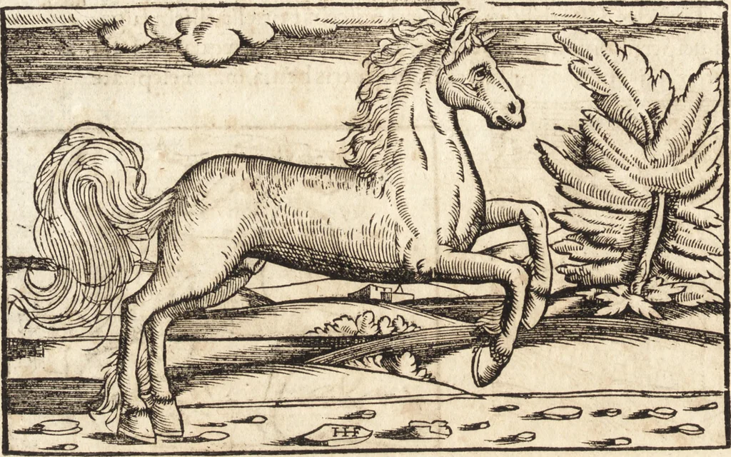 An illustration from Prodigiorvm ac ostentorvm chronicon : quae praeter naturae ordinem, motum, et operationem, et in svperioribus & his inferioribus mundi regionibus, ab exordio mundi usque ad haec nostra tempora, acciderunt ..., 1557, leaf 111