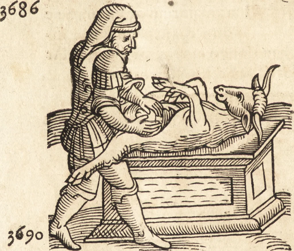 An illustration from Prodigiorvm ac ostentorvm chronicon : quae praeter naturae ordinem, motum, et operationem, et in svperioribus & his inferioribus mundi regionibus, ab exordio mundi usque ad haec nostra tempora, acciderunt ..., 1557, leaf 113