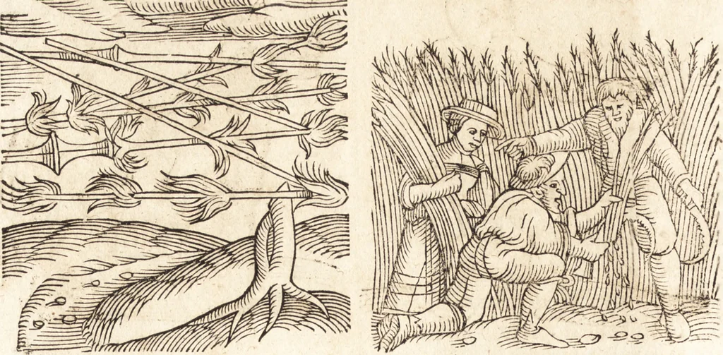An illustration from Prodigiorvm ac ostentorvm chronicon : quae praeter naturae ordinem, motum, et operationem, et in svperioribus & his inferioribus mundi regionibus, ab exordio mundi usque ad haec nostra tempora, acciderunt ..., 1557, leaf 125
