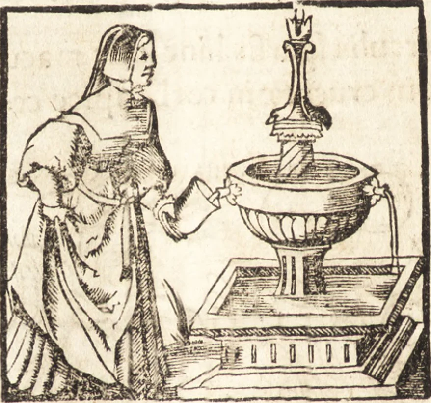 An illustration from Prodigiorvm ac ostentorvm chronicon : quae praeter naturae ordinem, motum, et operationem, et in svperioribus & his inferioribus mundi regionibus, ab exordio mundi usque ad haec nostra tempora, acciderunt ..., 1557, leaf 127