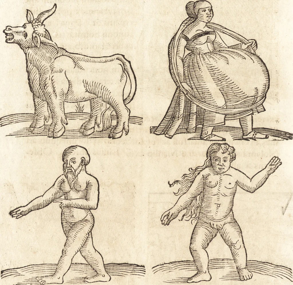 An illustration from Prodigiorvm ac ostentorvm chronicon : quae praeter naturae ordinem, motum, et operationem, et in svperioribus & his inferioribus mundi regionibus, ab exordio mundi usque ad haec nostra tempora, acciderunt ..., 1557, leaf 129