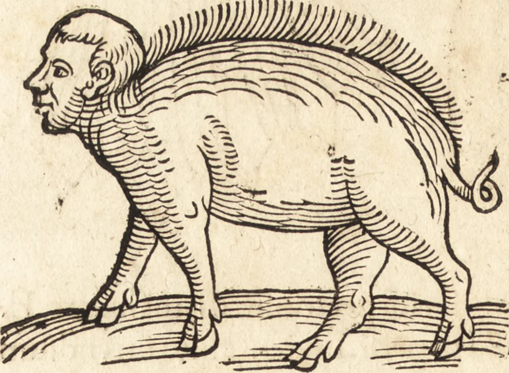 An illustration from Prodigiorvm ac ostentorvm chronicon : quae praeter naturae ordinem, motum, et operationem, et in svperioribus & his inferioribus mundi regionibus, ab exordio mundi usque ad haec nostra tempora, acciderunt ..., 1557, leaf 135