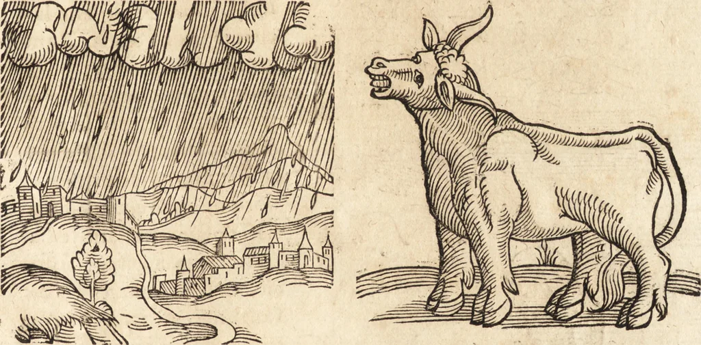 An illustration from Prodigiorvm ac ostentorvm chronicon : quae praeter naturae ordinem, motum, et operationem, et in svperioribus & his inferioribus mundi regionibus, ab exordio mundi usque ad haec nostra tempora, acciderunt ..., 1557, leaf 136