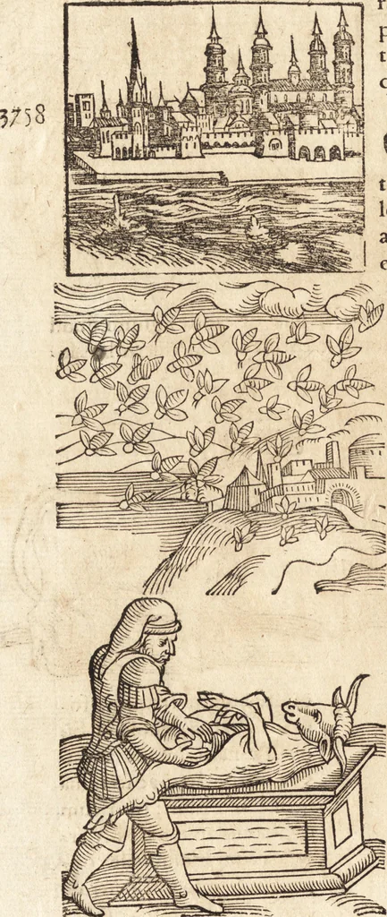 An illustration from Prodigiorvm ac ostentorvm chronicon : quae praeter naturae ordinem, motum, et operationem, et in svperioribus & his inferioribus mundi regionibus, ab exordio mundi usque ad haec nostra tempora, acciderunt ..., 1557, leaf 137