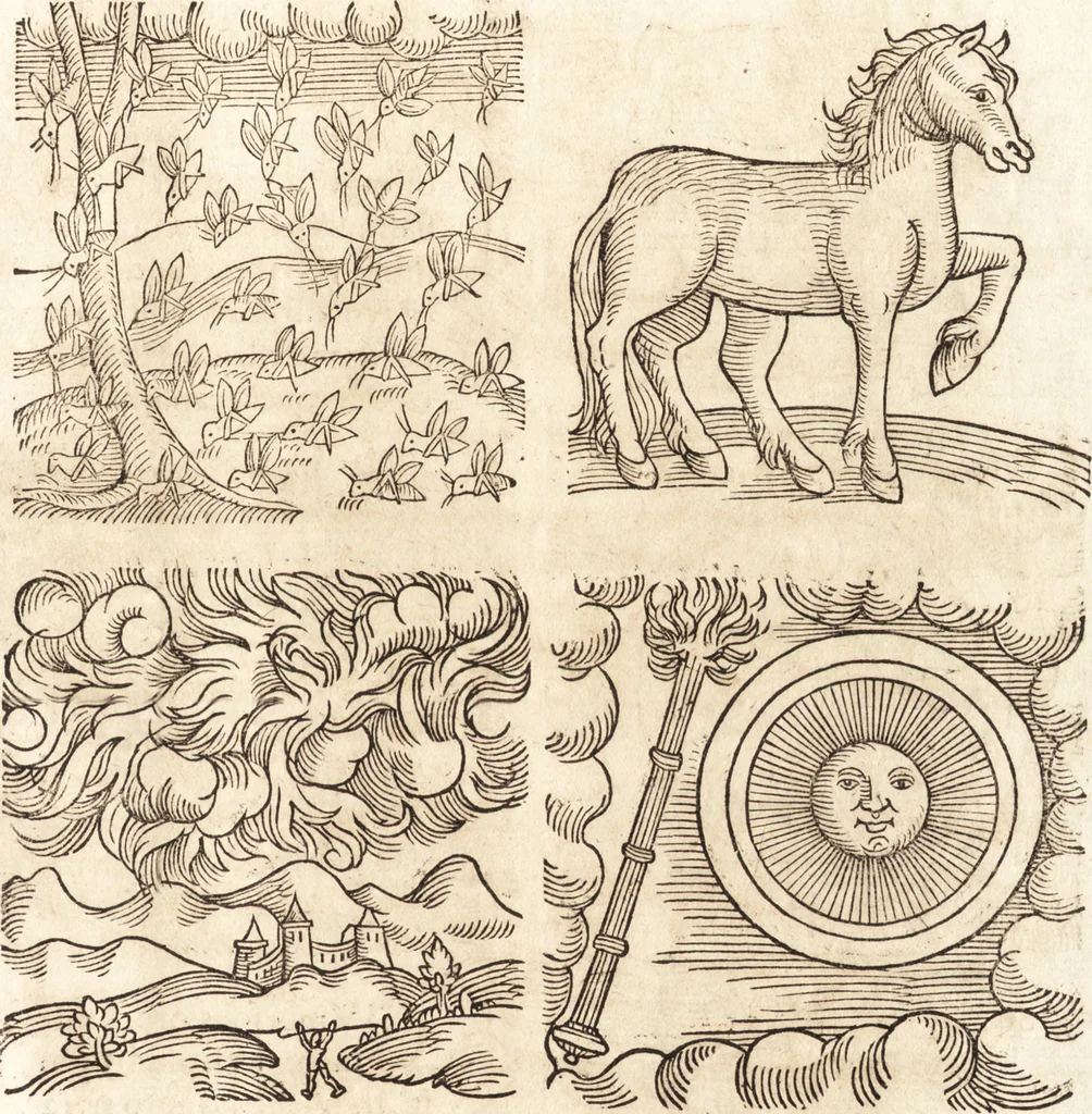 An illustration from Prodigiorvm ac ostentorvm chronicon : quae praeter naturae ordinem, motum, et operationem, et in svperioribus & his inferioribus mundi regionibus, ab exordio mundi usque ad haec nostra tempora, acciderunt ..., 1557, leaf 142