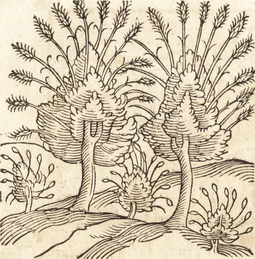 An illustration from Prodigiorvm ac ostentorvm chronicon : quae praeter naturae ordinem, motum, et operationem, et in svperioribus & his inferioribus mundi regionibus, ab exordio mundi usque ad haec nostra tempora, acciderunt ..., 1557, leaf 145