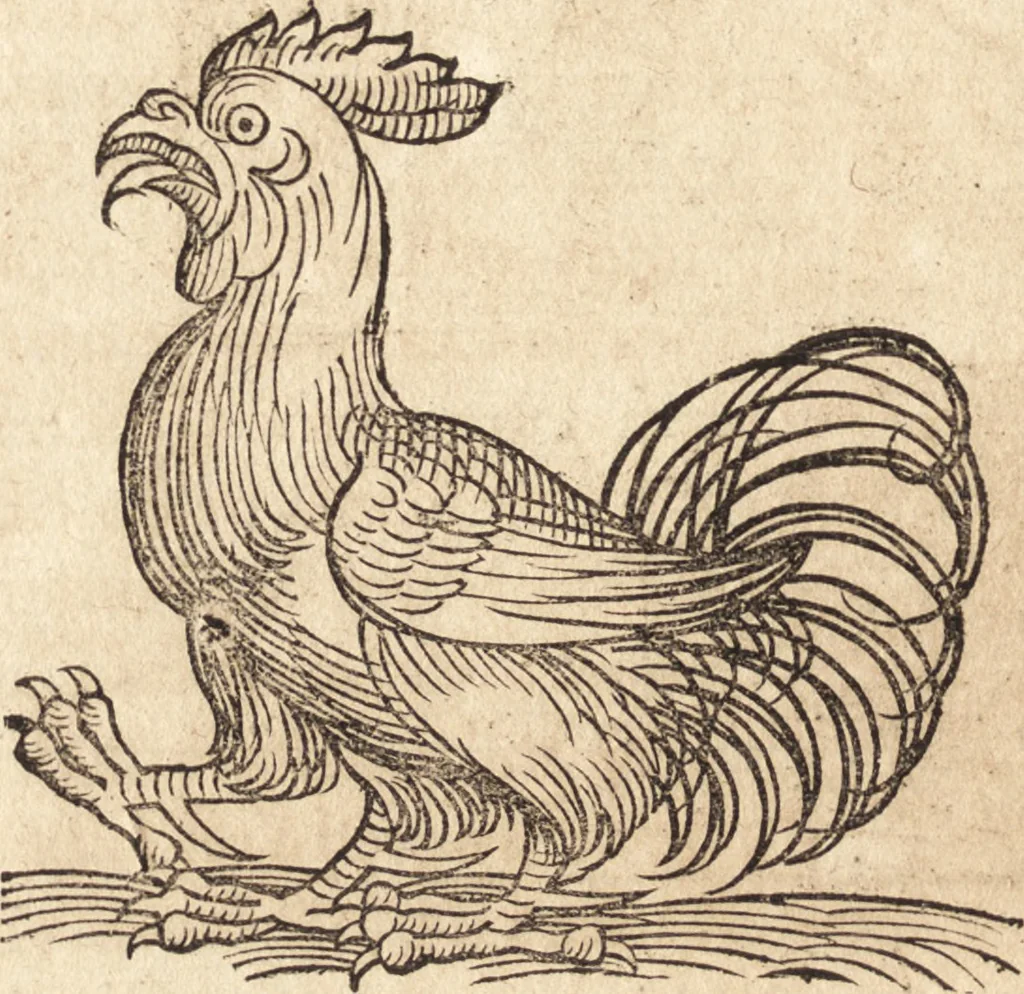 An illustration from Prodigiorvm ac ostentorvm chronicon : quae praeter naturae ordinem, motum, et operationem, et in svperioribus & his inferioribus mundi regionibus, ab exordio mundi usque ad haec nostra tempora, acciderunt ..., 1557, leaf 149