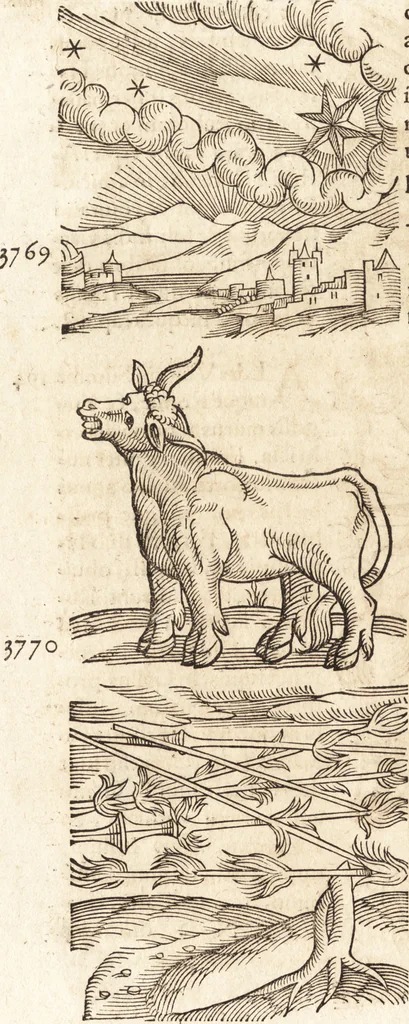 An illustration from Prodigiorvm ac ostentorvm chronicon : quae praeter naturae ordinem, motum, et operationem, et in svperioribus & his inferioribus mundi regionibus, ab exordio mundi usque ad haec nostra tempora, acciderunt ..., 1557, leaf 151