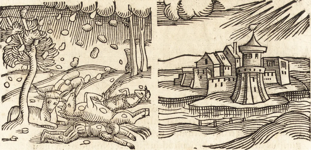 An illustration from Prodigiorvm ac ostentorvm chronicon : quae praeter naturae ordinem, motum, et operationem, et in svperioribus & his inferioribus mundi regionibus, ab exordio mundi usque ad haec nostra tempora, acciderunt ..., 1557, leaf 155
