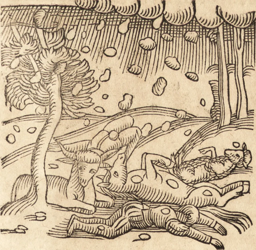 An illustration from Prodigiorvm ac ostentorvm chronicon : quae praeter naturae ordinem, motum, et operationem, et in svperioribus & his inferioribus mundi regionibus, ab exordio mundi usque ad haec nostra tempora, acciderunt ..., 1557, leaf 158