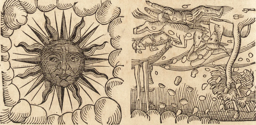 An illustration from Prodigiorvm ac ostentorvm chronicon : quae praeter naturae ordinem, motum, et operationem, et in svperioribus & his inferioribus mundi regionibus, ab exordio mundi usque ad haec nostra tempora, acciderunt ..., 1557, leaf 159