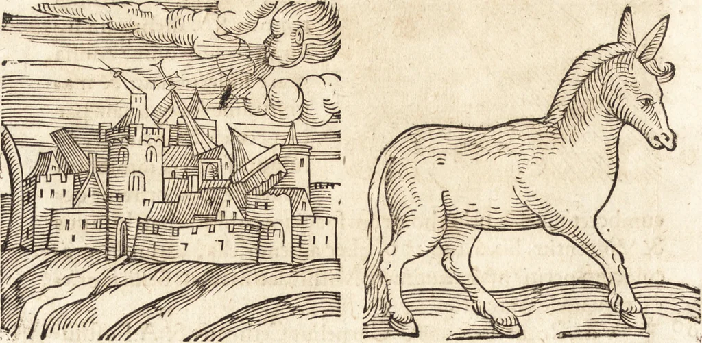 An illustration from Prodigiorvm ac ostentorvm chronicon : quae praeter naturae ordinem, motum, et operationem, et in svperioribus & his inferioribus mundi regionibus, ab exordio mundi usque ad haec nostra tempora, acciderunt ..., 1557, leaf 161