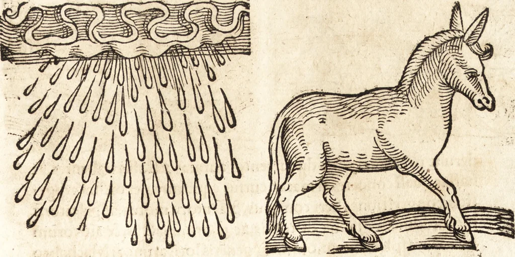 An illustration from Prodigiorvm ac ostentorvm chronicon : quae praeter naturae ordinem, motum, et operationem, et in svperioribus & his inferioribus mundi regionibus, ab exordio mundi usque ad haec nostra tempora, acciderunt ..., 1557, leaf 168