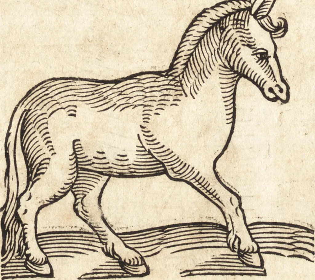 An illustration from Prodigiorvm ac ostentorvm chronicon : quae praeter naturae ordinem, motum, et operationem, et in svperioribus & his inferioribus mundi regionibus, ab exordio mundi usque ad haec nostra tempora, acciderunt ..., 1557, leaf 169